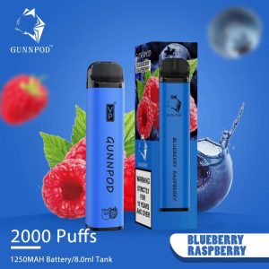 Blueberry Raspberry Gunnpod 2000 Puffs Vape