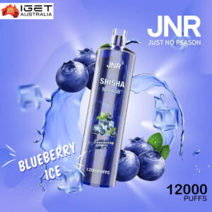JNR SHISHA HOOKAH - BLUEBERRY ICE   - 12000 PUFFS