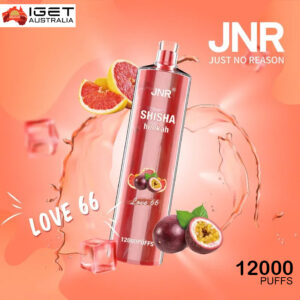 JNR SHISHA HOOKAH - LOVE 66 - 12000 PUFFS
