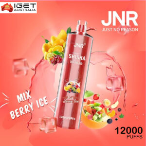 JNR SHISHA HOOKAH - MIX BERRY ICE - 12000 PUFFS