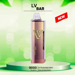 LV BAR STRAWBERRY RASPBERRY - 9000 PUFFS