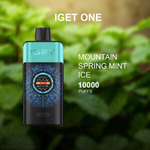 IGET ONE MOUNTAIN SPRING MINT ICE - 10000 PUFFS