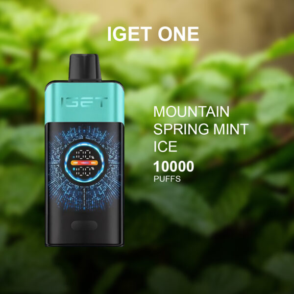 IGET ONE MOUNTAIN SPRING MINT ICE - 10000 PUFFS