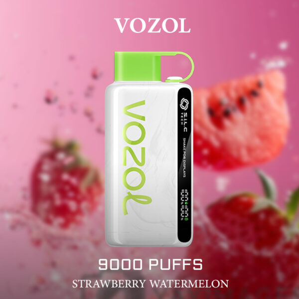 Strawberry Watermelon Vozol Star 9000