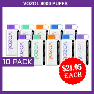 VOZOL 9000 PUFFS - 10 PACK