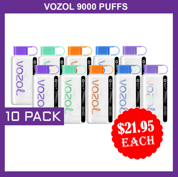 VOZOL 9000 PUFFS - 10 PACK