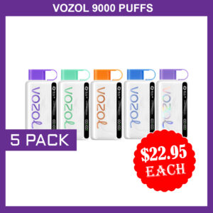 VOZOL 9000 PUFFS - 5 PACK