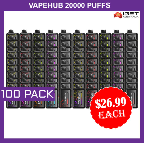 VAPEHUB 20000 PUFFS - 100 PACK